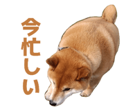 878839248