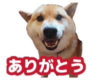 878839253