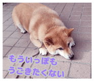 878839260