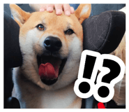 878839265