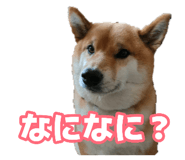 878839268