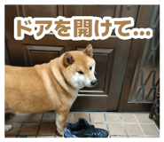 878839269
