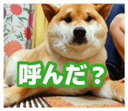 878839277