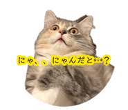 878841985