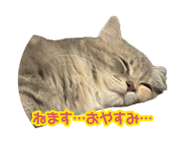 878841988