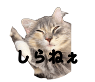 878841992