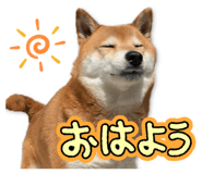 878842372
