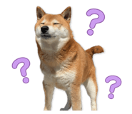878842373