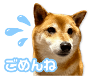 878842377