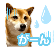878842378