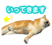 878842379