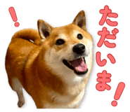 878842384