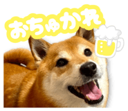 878842390