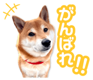 878842391