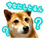 878842393