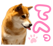 878842397