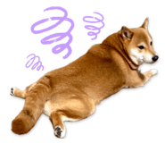 878842400