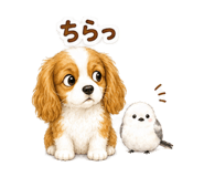 878844480