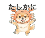 878851507