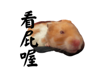 878858084