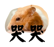 878858414