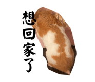 878858416