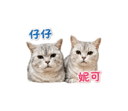 878865138