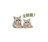 878865168
