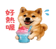 878866924