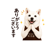 878870588