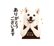 878870592