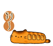 878876596
