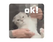 878885628