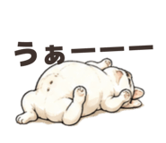 878894550