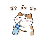 878896807