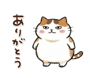 878896819