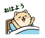 878897280