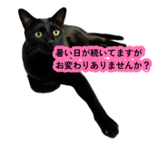 878901232