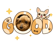 878901604