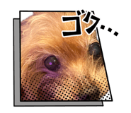 878901609