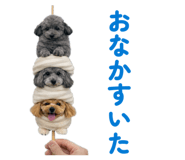 878904258