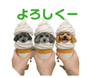 878904259