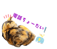 878904907