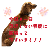 878904918