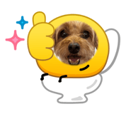 878905475