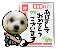 878905482