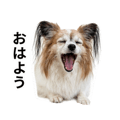 878920949