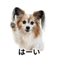 878920951