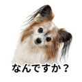 878920958
