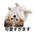878920959